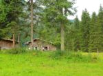 2014-07-05_Laengental-N-Hochweg (362)b. JPG